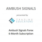 Ambush Signals Forex 6-Months
